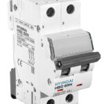 کلید مینیاتوری 2 پل